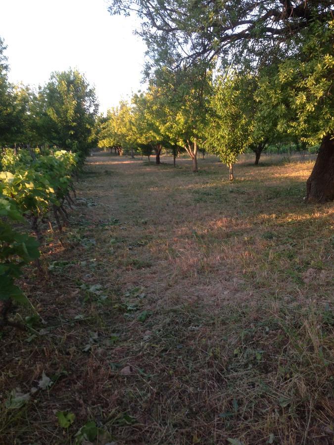 Apartmani Marijana Лозовац Екстер'єр фото